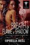 [Rising Dragons 06] • Breath of Flame and Shadow
